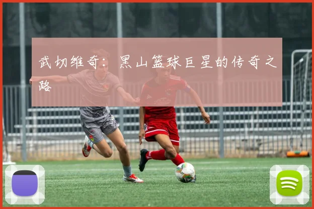 武切维奇：黑山篮球巨星的传奇之路